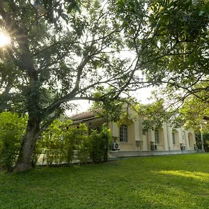 https://tamarind-tree-katunayake.negombohotels.net